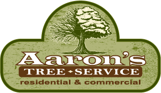 Kent City Tree Service Company