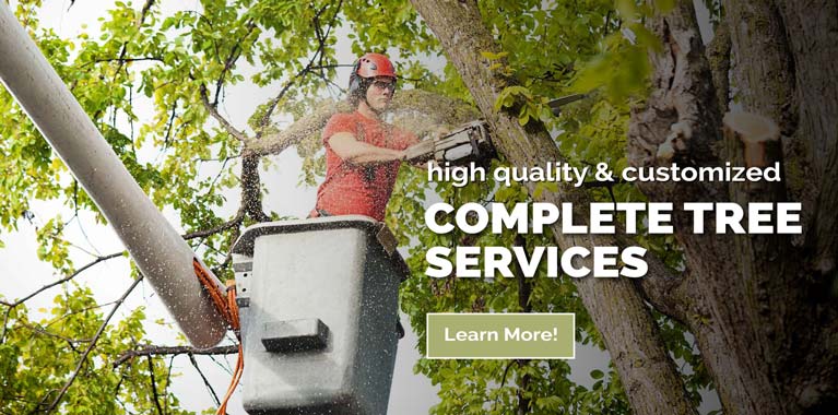 Byron Center Tree Removal Services