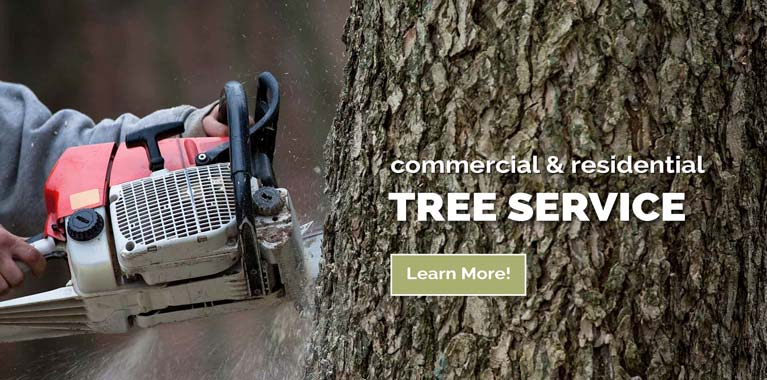 Comstock Park Tree Removal Contractors